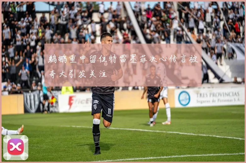 鹈鹕重申留住特雷墨菲决心传言被夸大引发关注